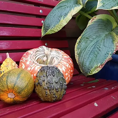 לינה וארוחת בוקר De Valendries *