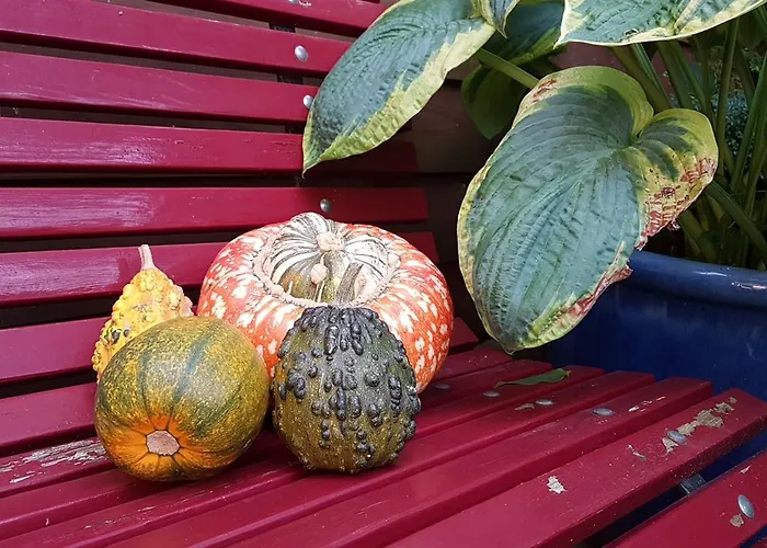 Bed & Breakfast De Valendries *